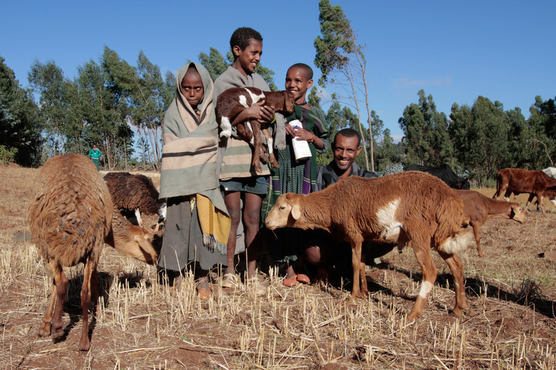 A goat farmer and his children, Ethiopia