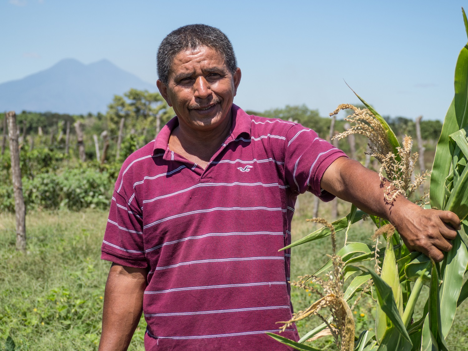 Filipe Cordova, a farmer in El Ranchón, displays his corn thanks to an Oxfam resilience program