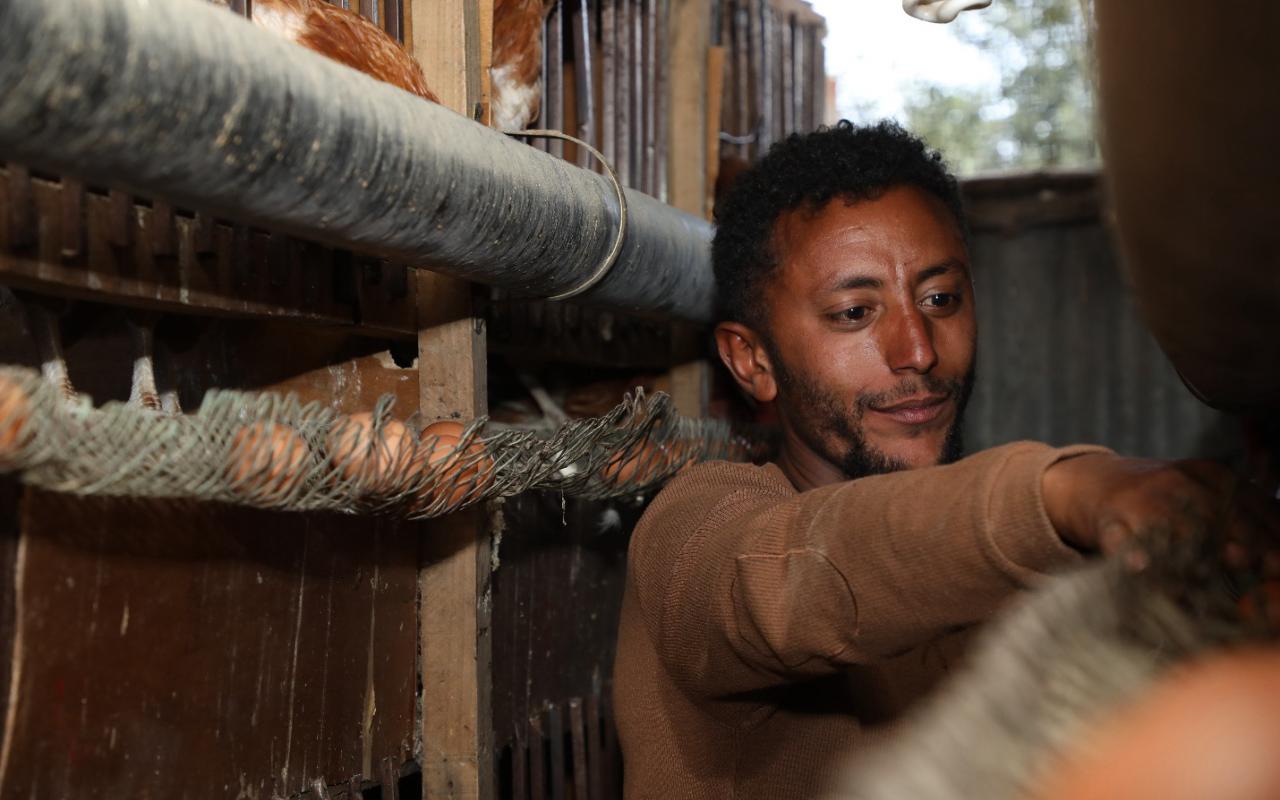 Small Coop, Big Dreams: From Sheep Farming Struggles to Poultry Success in Addis Ababa
