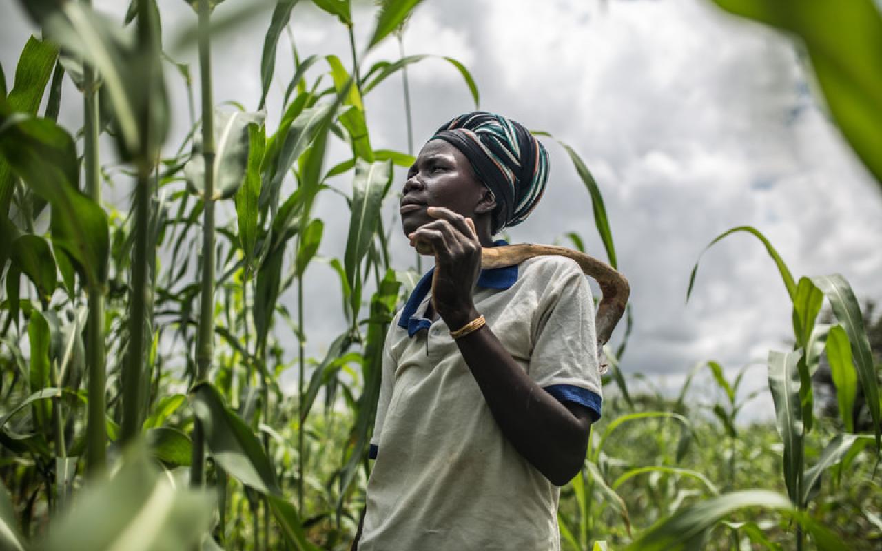 Cinco cosas que debes saber sobre el cambio climático y el hambre | Oxfam  International