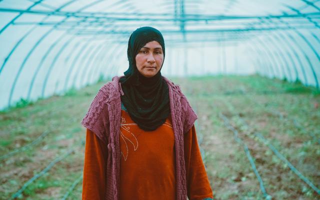 Woman in a greenhouse, Iraq.