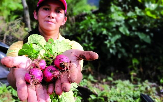 Orbelina García was part of the "Field school" project carried out by Oxfam in the Central American Dry Corridor.