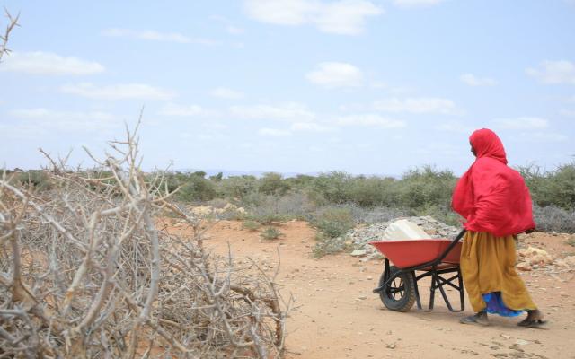Anisa Jama Hassan from Dhudhub Dhiilo in Somaliland, Somalia. As the drought continues to ravage Somalia, the situation in internally displaced person camps grows increasingly dire, with malnutrition and disease affecting the most vulnerable.