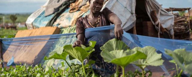 Bidibidi en el norte de Uganda, el asentamiento de refugiados más grande del mundo, hogar de más de 270,000 refugiados de Sudan del sur. Crédito: Kieran Doherty / Oxfam Bidibidi en el norte de Uganda, el asentamiento de refugiados más grande del mundo, hogar de más de 270,000 refugiados de Sudan del sur. Crédito: Kieran Doherty / Oxfam