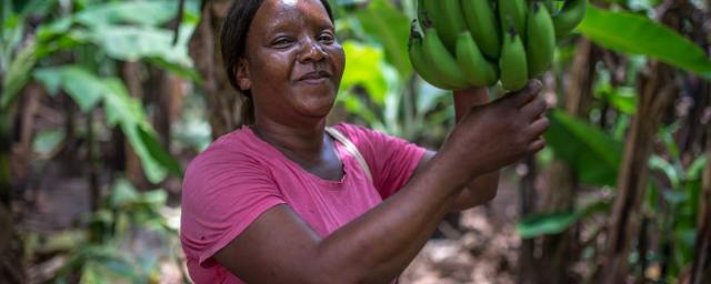 Faith, miembro del club de mujeres Kabwadu (proyecto Banana), en su plantación de bananas en el distrito de Chirundu, Zambia. Crédito: Aurelie Marrier d'Unienville / Oxfam