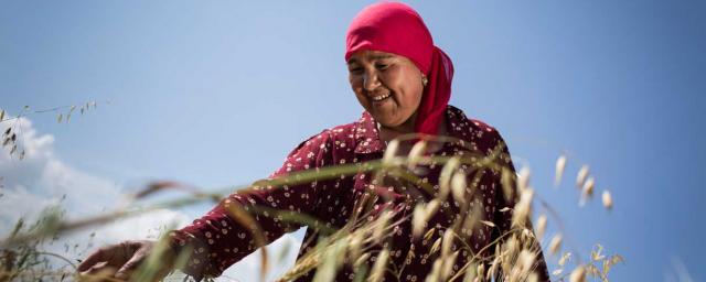 Kholduory is a member of the Women’s Savings Group and has been able to borrow money from the group to pay for land and seeds to grow wheat. Credit: Eleanor Farmer/Oxfam Kholduory is a member of the Women’s Savings Group and has been able to borrow money from the group to pay for land and seeds to grow wheat. Credit: Eleanor Farmer/Oxfam