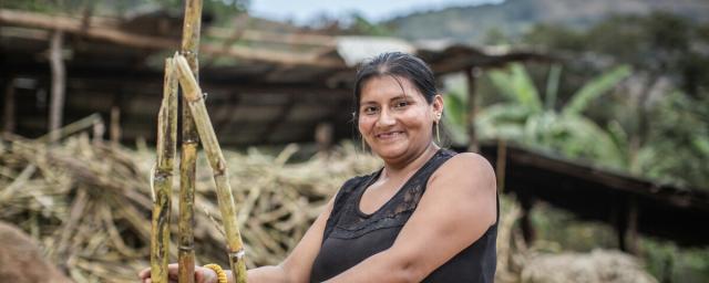 Marleny Alvarado is a panela producer and member of the Piura Ecological and Solidarity Agricultural Cooperative (CAES Piura) in the mountainous region of Piura, Peru.