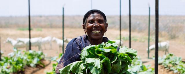 Buke Gabasa Halake, Biqiltu Women Group Chairlady holds up kale from the group's kitchen garden. The kitchen garden is part of the Oxfam Kenya's resilience and livelihoods building project for drought-affected communities in Marsabit.