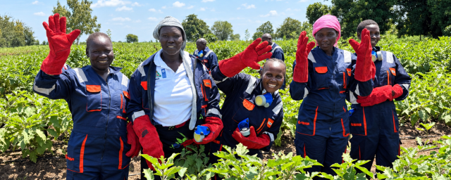 A group of women members from Kabo Farmers Group in Luri Payam, Juba County pose for a photo in their garden.