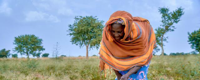 Satou Coulibaly, person with disability, now faces hunger in southern Mali. Because of irregular rainfall and drought, her millet and groundnuts are no longer growing as usual.