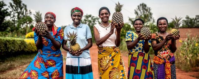 The women members of the Tuzamurane cooperative have seen a vast increase in their income and are now able to send their children to school, pay for healthcare and buy land. The women members of the Tuzamurane cooperative have seen a vast increase in their income and are now able to send their children to school, pay for healthcare and buy land.