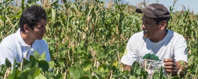 We are learning how to manage our crops better,” say farmers Malvin Ortiz and Felipe Martínez, “and we are teaching our children how to do it, too.” Now, the future is looking more hopeful. We are learning how to manage our crops better,” say farmers Malvin Ortiz and Felipe Martínez, “and we are teaching our children how to do it, too.” Now, the future is looking more hopeful.