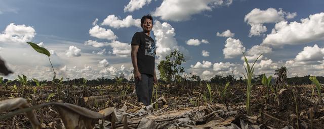 La comunidad indígena shipibo de Santa Clara de Uchunya, en la Amazonía peruana, se enfrenta a la invasión de sus tierras ancestrales por parte de las empresas comercializadoras de aceite de palma. Foto: Diego Pérez/Oxfam La comunidad indígena shipibo de Santa Clara de Uchunya, en la Amazonía peruana, se enfrenta a la invasión de sus tierras ancestrales por parte de las empresas comercializadoras de aceite de palma. Foto: Diego Pérez/Oxfam