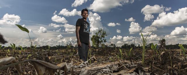 La comunidad indígena shipibo de Santa Clara de Uchunya, en la Amazonía peruana, se enfrenta a la invasión de sus tierras ancestrales por parte de las empresas comercializadoras  de aceite de palma. Foto: Diego Pérez/Oxfam