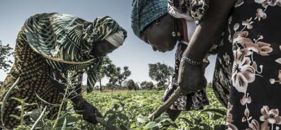 Alizeta Sawadogo, farmer, Village of Louda - commune of Kaya - Burkina Faso