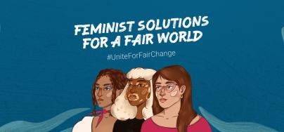 Feminist Solutions header image
