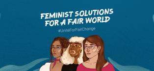 Feminist Solutions header image